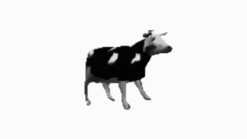 dancing-cow